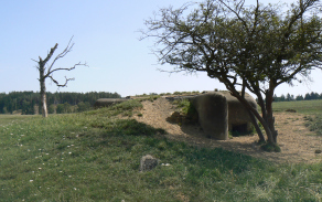 plan-vec-1110-foto-2