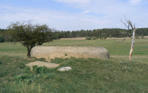 plan-vec-1110-foto-3