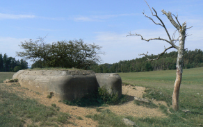 plan-vec-1110-foto-4