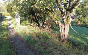 jihlava-pc-5580-81-foto-4